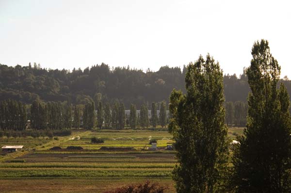 WA WINE DAY-119